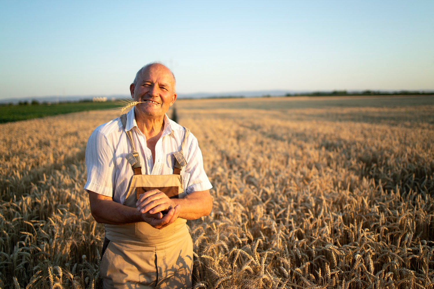 Agricultural Tools for Efficient Water Management